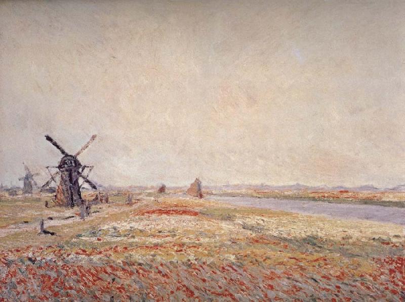 Claude Monet Field of Flowers and Windmills Near Leiden